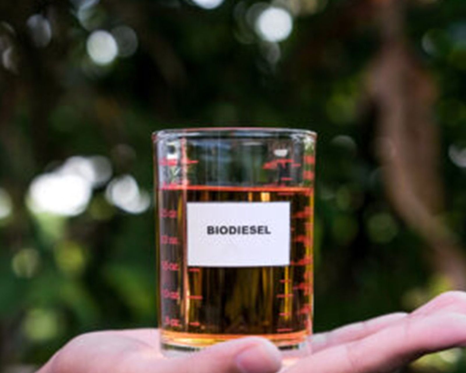 Marktrapport - prijsstijging van oliën en vetten houdt aan